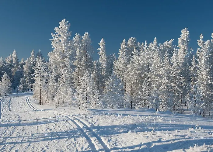 Health & Spa فندق