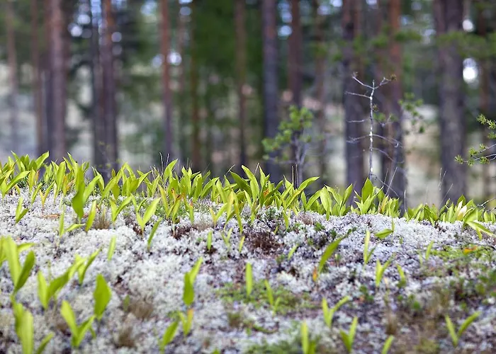 Health & Spa فندق 3*