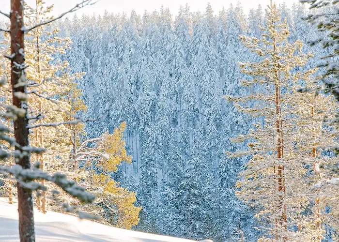 فندق Health & Spa