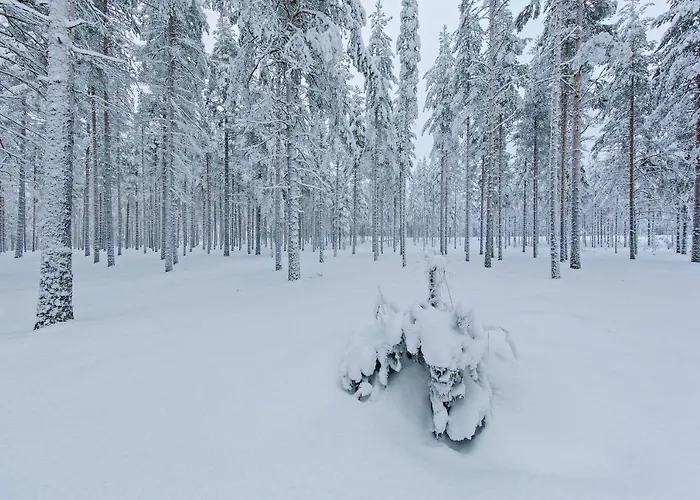 Health & Spa 3* Rokua