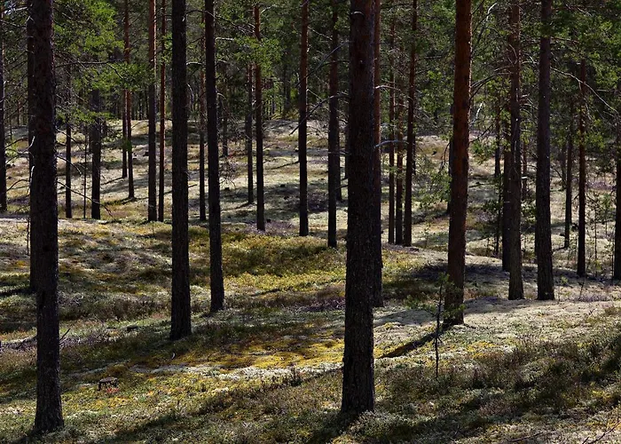 فندق Health & Spa 3*